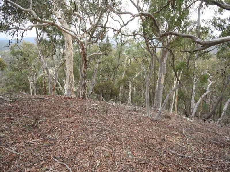 Jerrong NSW 2580