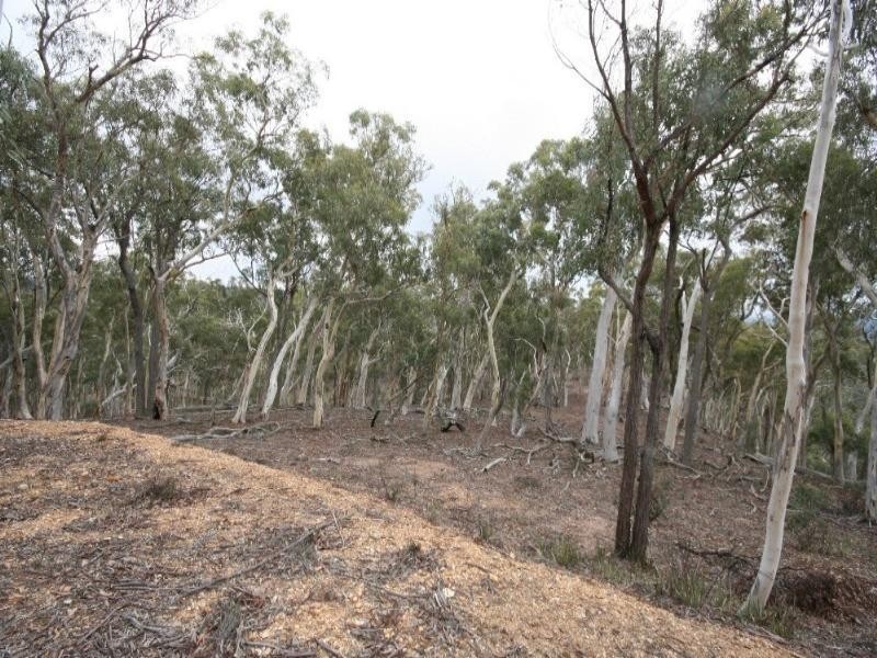 Jerrong NSW 2580
