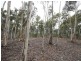 Jerrong NSW 2580