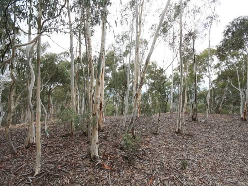 Jerrong NSW 2580