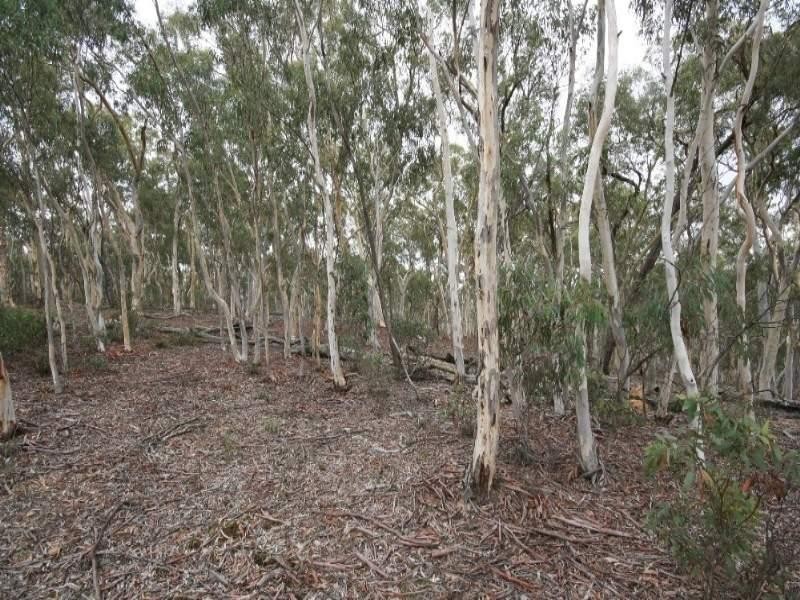 Jerrong NSW 2580