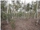 Jerrong NSW 2580