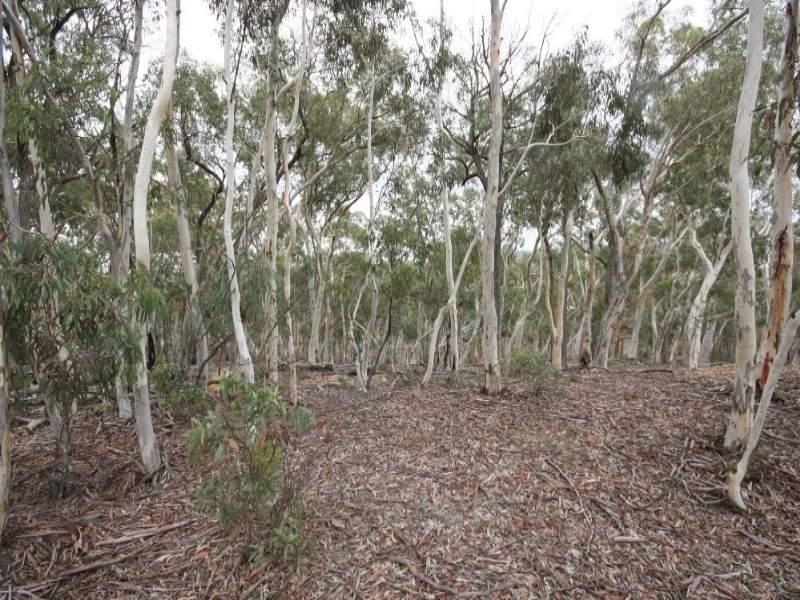 Jerrong NSW 2580