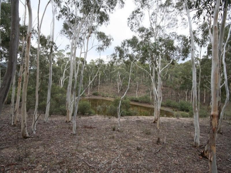 Jerrong NSW 2580