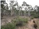 Jerrong NSW 2580