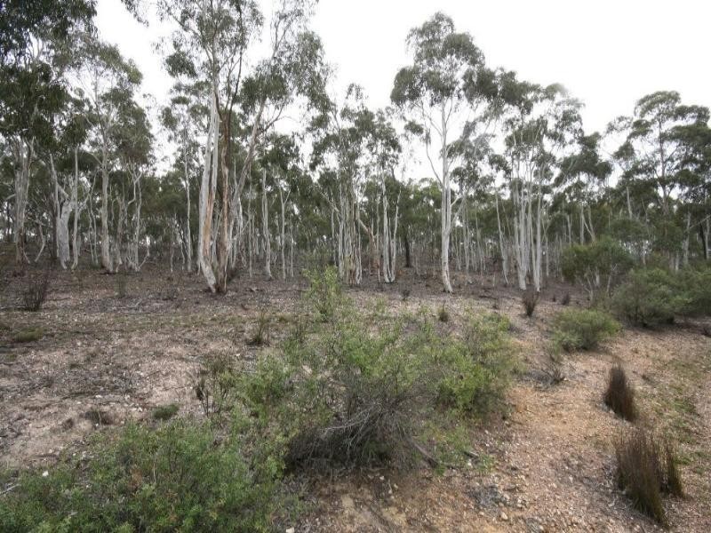 Jerrong NSW 2580
