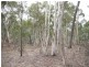 Jerrong NSW 2580
