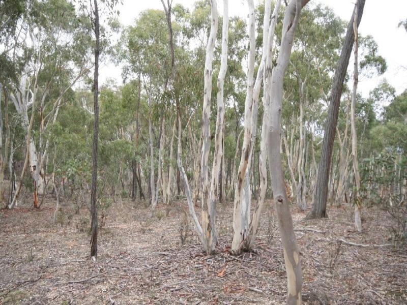 Jerrong NSW 2580