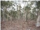 Jerrong NSW 2580