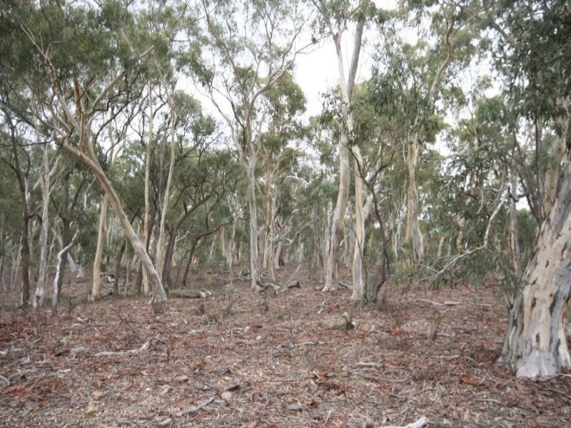 Jerrong NSW 2580