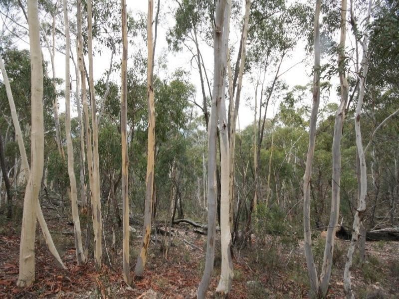 Jerrong NSW 2580