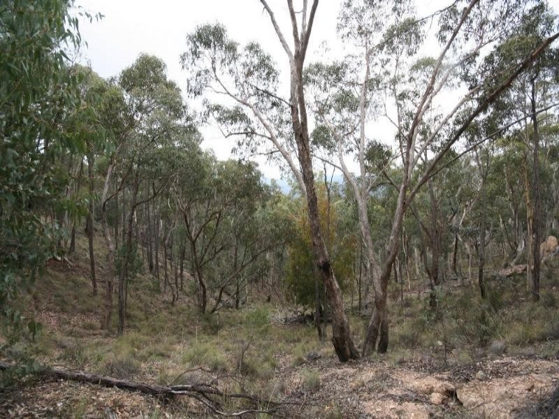 Jerrong NSW 2580