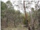 Jerrong NSW 2580