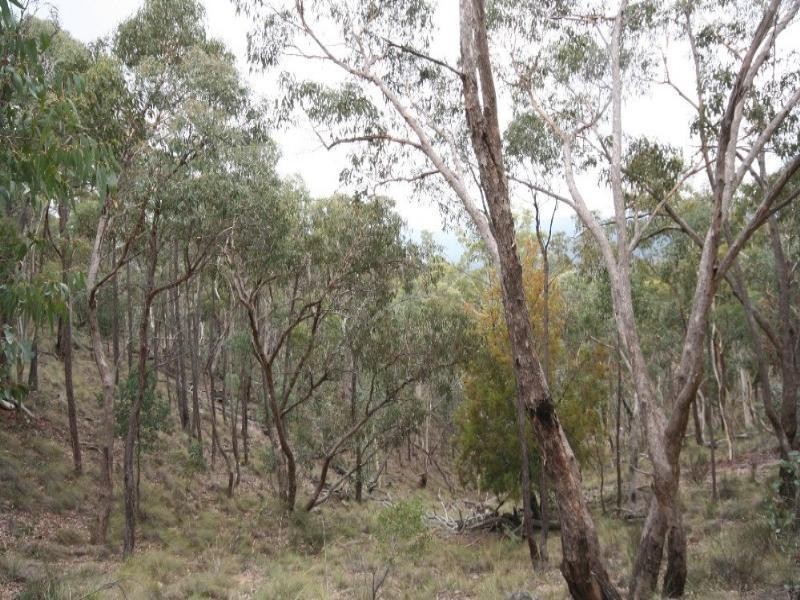 Jerrong NSW 2580
