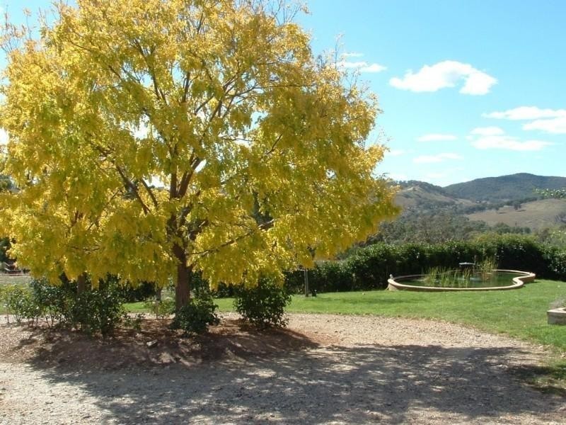 Wisemans Creek NSW 2795