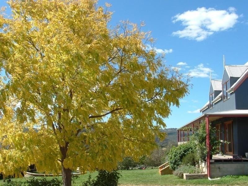 Wisemans Creek NSW 2795