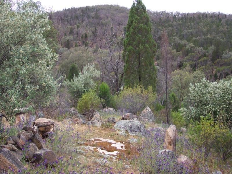Lot 29 Blue Mantle Road, Wyangala NSW 2808