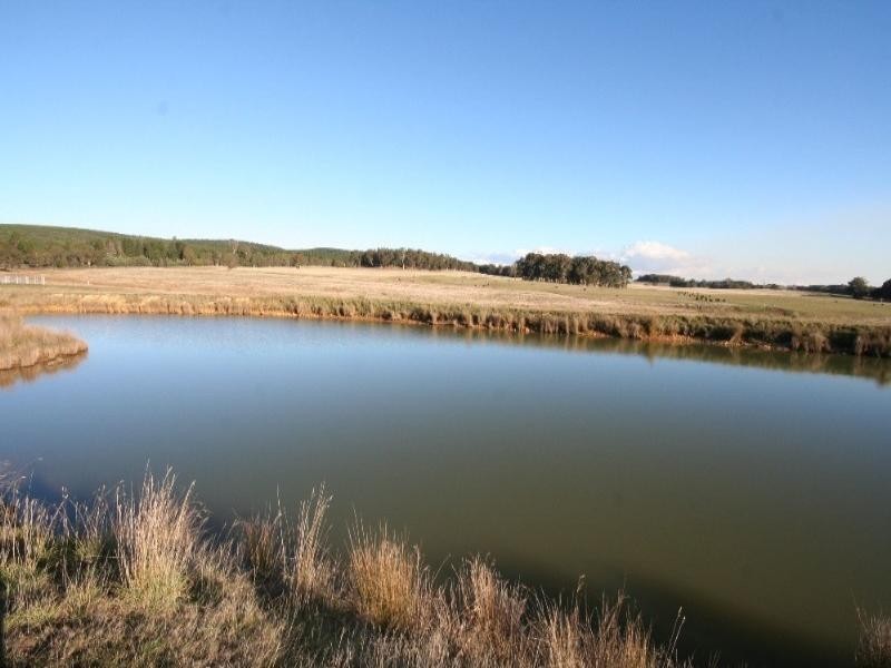 Black Springs NSW 2787