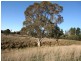 Black Springs NSW 2787