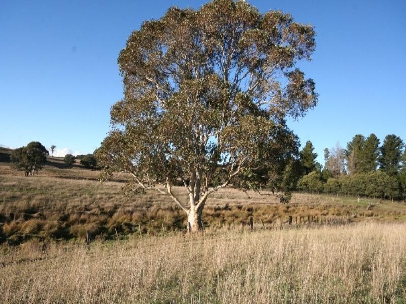 Black Springs NSW 2787
