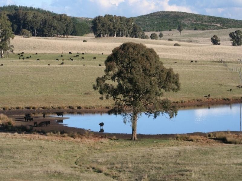 Black Springs NSW 2787