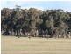 Black Springs NSW 2787
