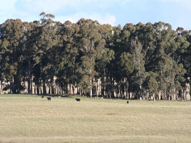 Black Springs NSW 2787