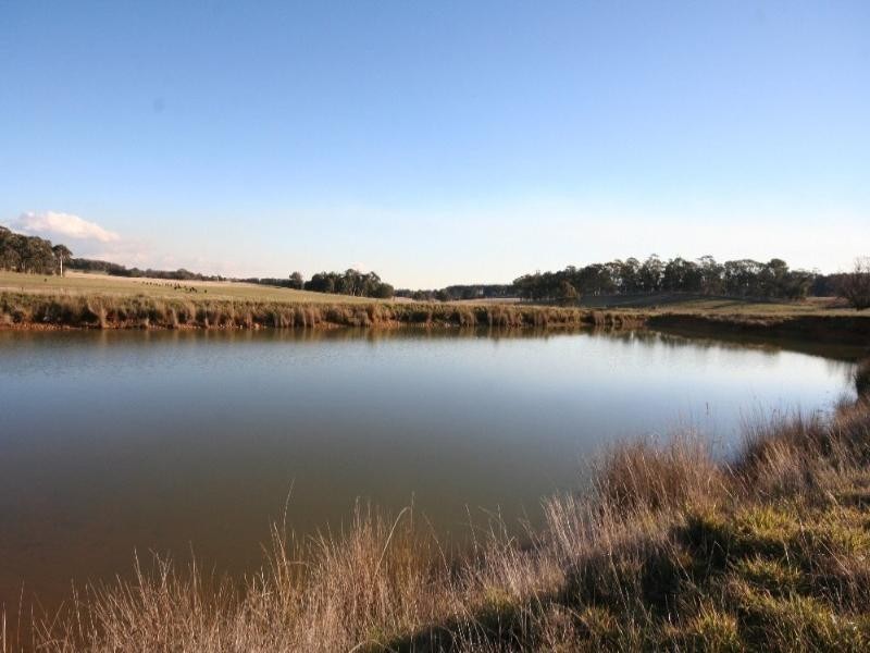 Black Springs NSW 2787
