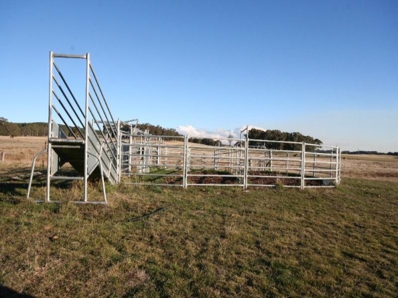 Black Springs NSW 2787