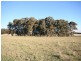 Black Springs NSW 2787