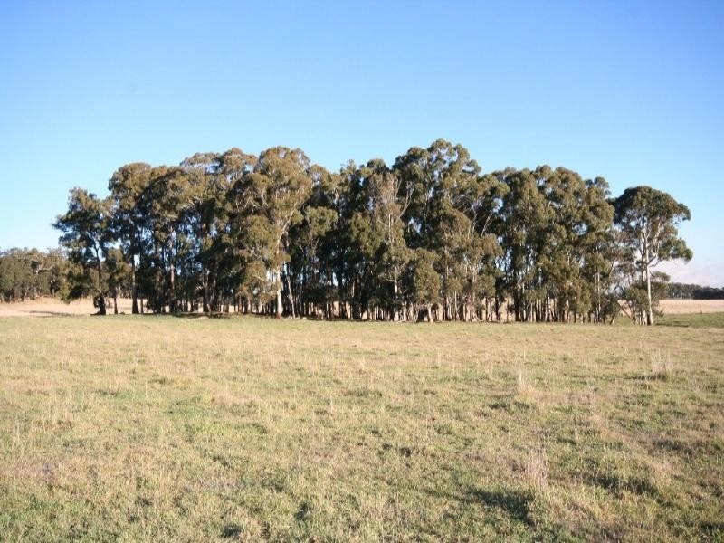 Black Springs NSW 2787