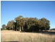 Black Springs NSW 2787