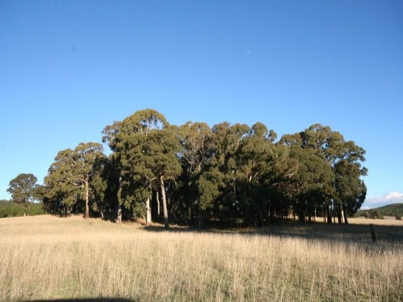 Black Springs NSW 2787