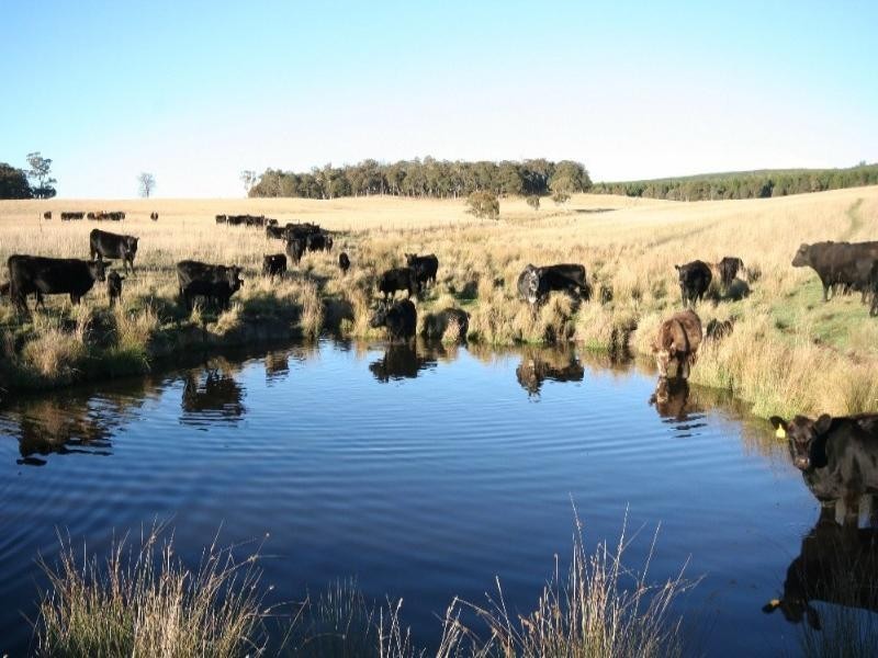 Black Springs NSW 2787