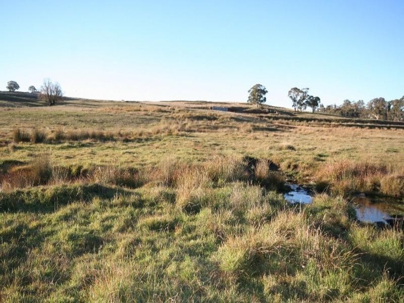 Black Springs NSW 2787