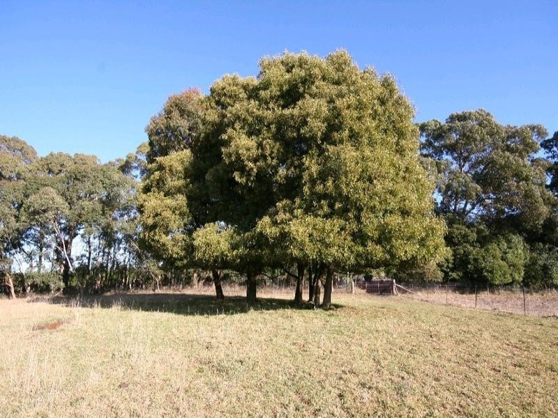 Gingkin NSW 2787