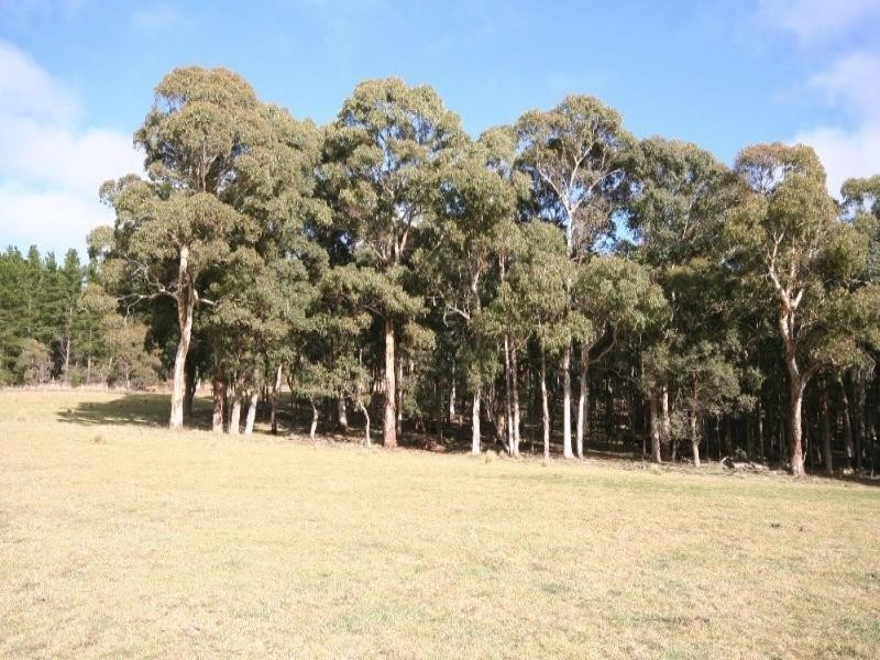 Gingkin NSW 2787