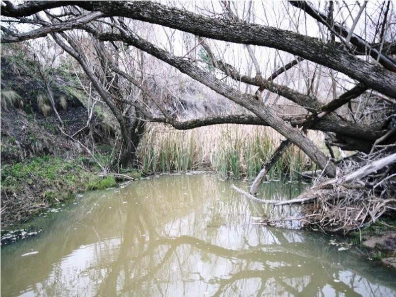 O’connell NSW 2795