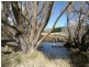 Black Springs NSW 2787