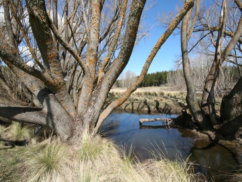 Black Springs NSW 2787