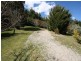 Black Springs NSW 2787