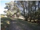 Black Springs NSW 2787