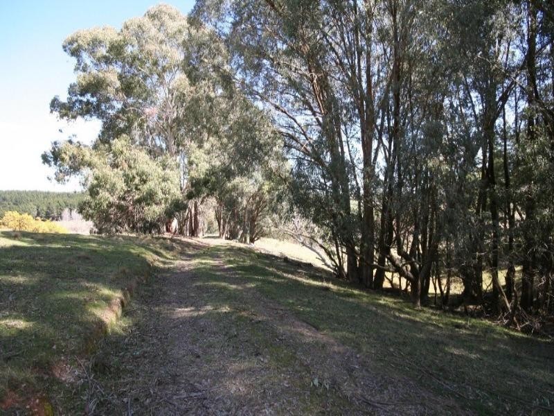 Black Springs NSW 2787
