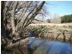 Black Springs NSW 2787