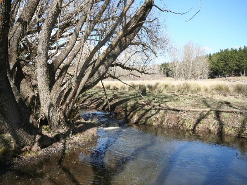 Black Springs NSW 2787
