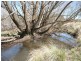 Black Springs NSW 2787