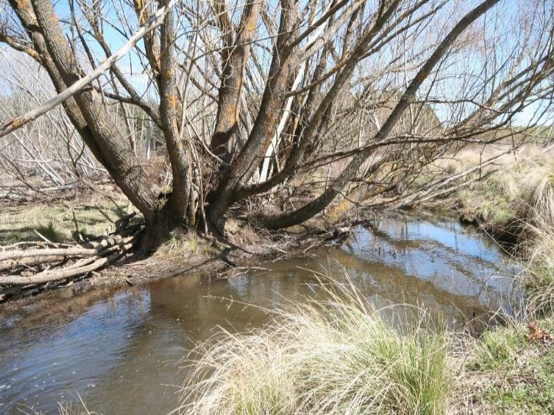 Black Springs NSW 2787