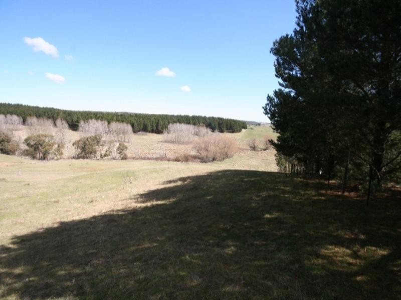 Black Springs NSW 2787