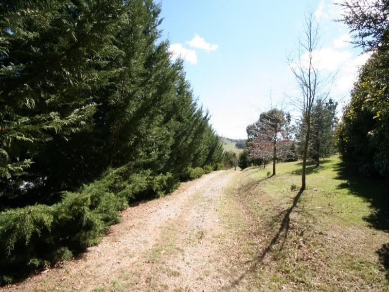 Black Springs NSW 2787