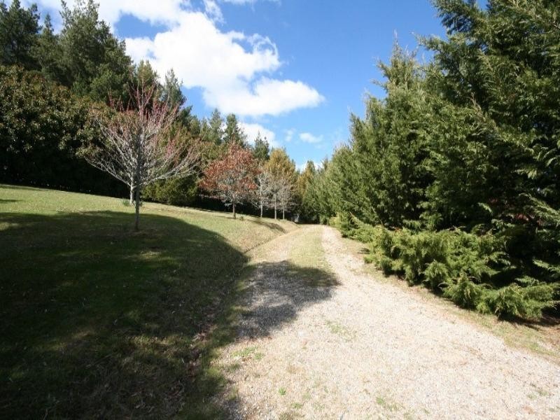 Black Springs NSW 2787